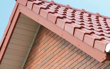 Binsey fascia repair quotes