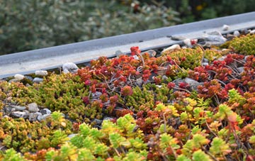 the cost of Binsey green roof installation