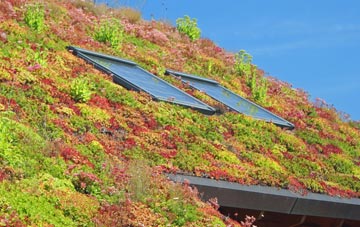 Binsey living roof systems