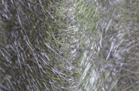 Binsey fibreglass roof work